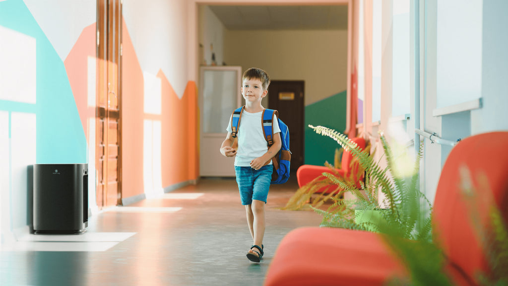 Air Purifiers For Classrooms: 5 Essential Tips